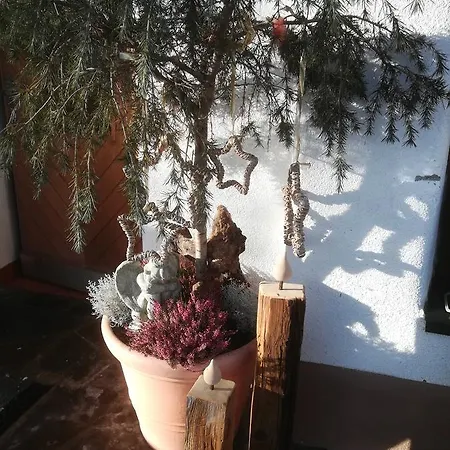 Mesnerhof * Virgen