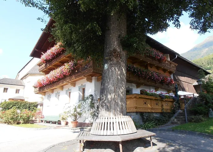 Bauernhof Mesnerhof Virgen