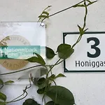 Mesnerhof Farm stay Virgen