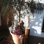 Mesnerhof * Virgen